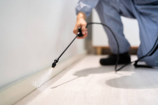 Licensed Fumigation Services service in Carmichael, CA - Nex Pest Control