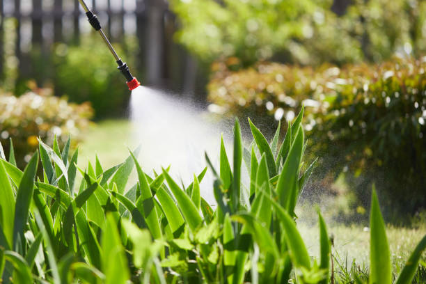 24/7 Emergency Fumigation Services experts in Carmichael, CA
