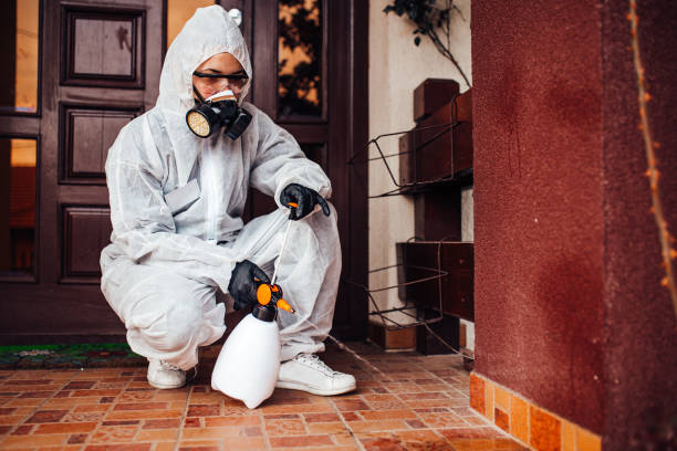 Reliable Fumigation Services contractor in Carmichael, CA by Nex Pest Control