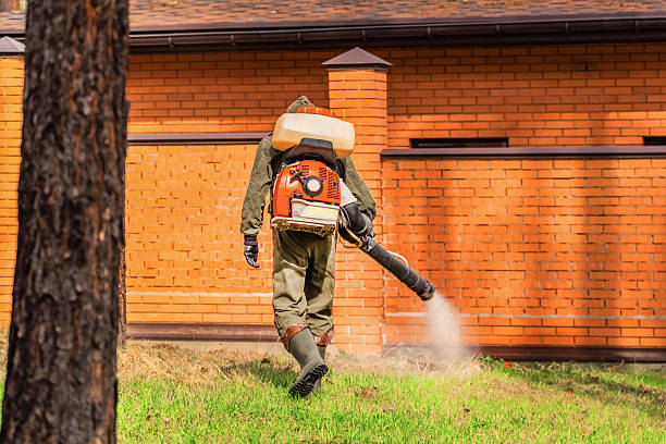 Top rated local Fumigation Services specialists in Carmichael, CA